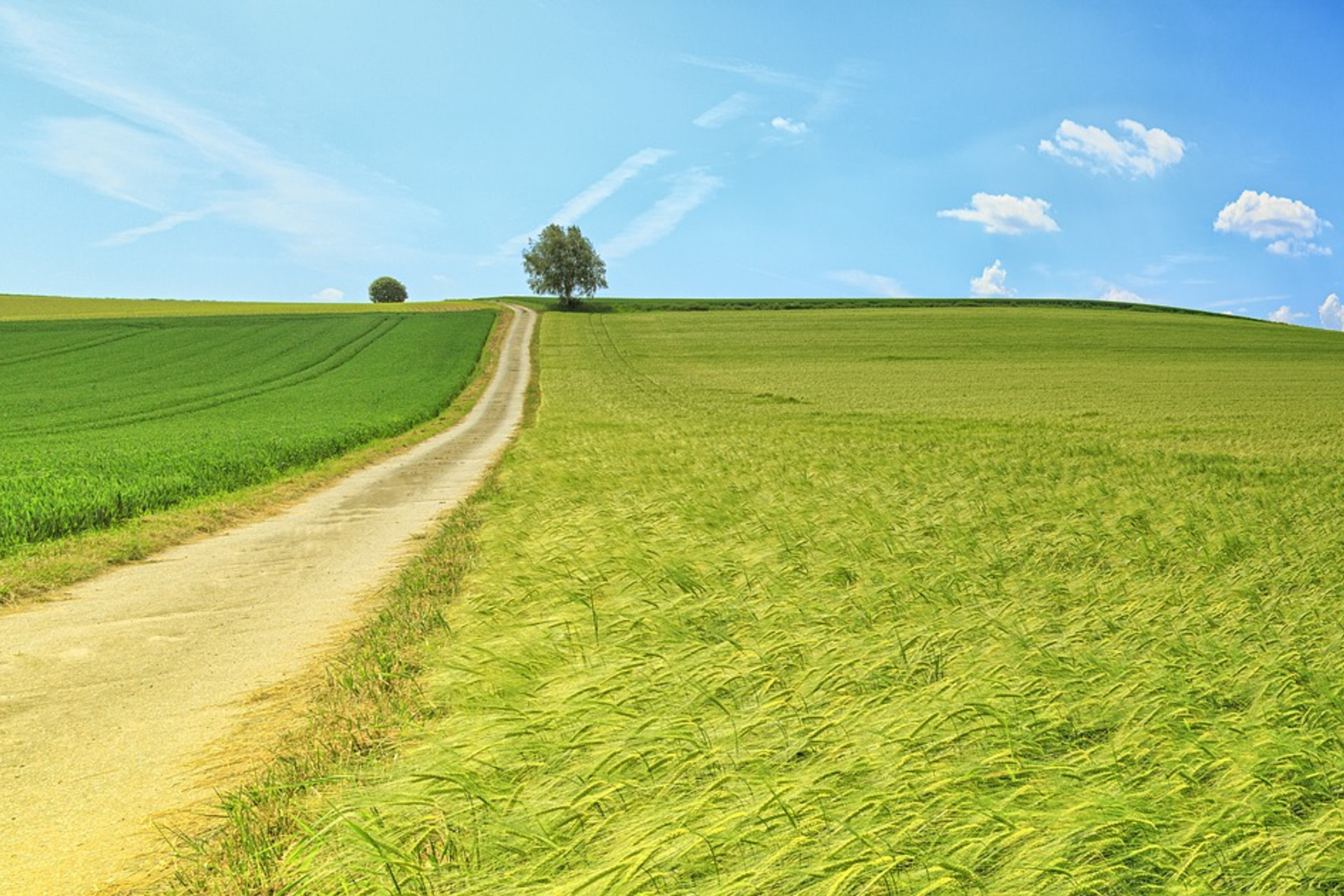 Heilpraktikerin Taunus